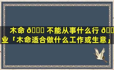 木命 🕊 不能从事什么行 🐬 业「木命适合做什么工作或生意」